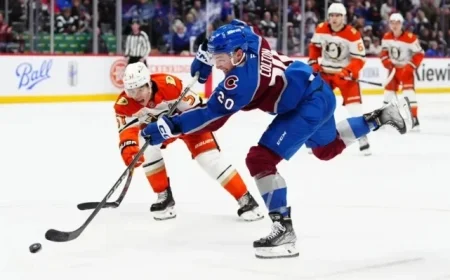 Avalanche Aim to Ground the High-Flying Ducks