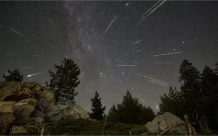 Witness November’s Meteor Showers: Expert Tips for Optimal Viewing
