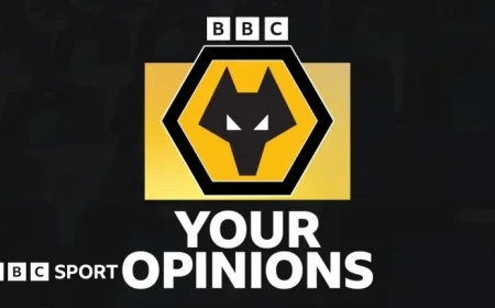 Wolves Fans React to Appointment of New Head Coach Rob Edwards