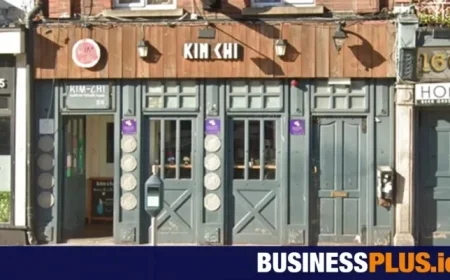 Dublin Restaurant Shuts Down After Dead Rat Found Beneath Dishwasher