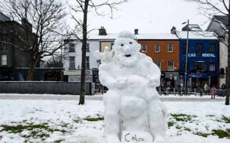 Met Eireann Releases Updated Ireland Weather Forecast While UK Braces for Two Weeks of Snow