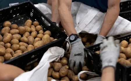 SNAP Recipients Express Feeling ‘Betrayed’ and ‘Judged’ as Government Shutdown Leads to Benefit Cuts