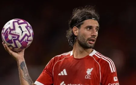 Fans in Yerevan Give a Warm Welcome to Dominik Szoboszlai and the Hungarian National Team