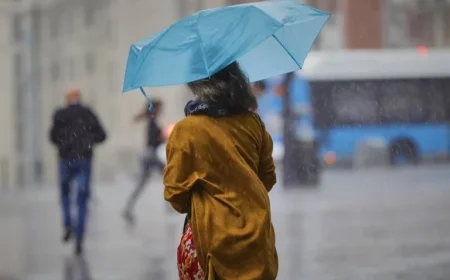 Yellow Alert Issued for Rain and Wind Gusts in Madrid’s Sierra this Afternoon by Aemet