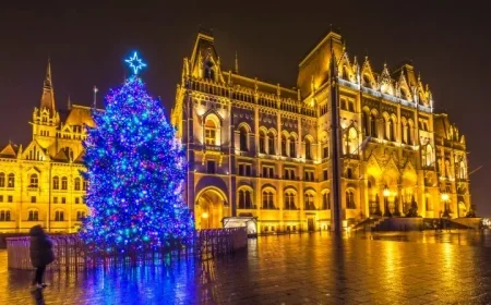 Discover the Enchantment of Budapest’s Winter Markets on Your Next Getaway