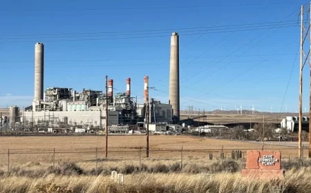 Wyoming Power Outage Affects 95000 Customers Due to Tripped Power Lines