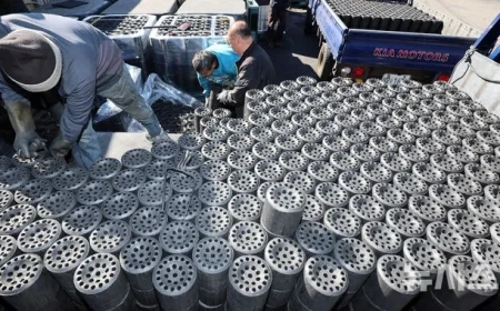 Subzero Cold Front Hits Southern Gyeonggi This Weekend Morning