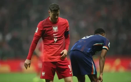 Check Out the Standings of the ‘Polish’ Group Following the Draw with the Netherlands