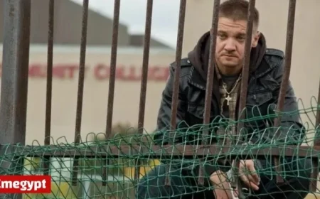 Top TV and Streaming Picks Today: Fleadh Cheoil The Town and Selling The OC