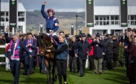 ‘See Arkle Favourite’s Stag-like Jumps as He Aims to Launch New Career at Navan’