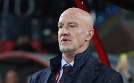 Hungary Coach Praises Irish and British Players Performance Ahead of World Cup Clash with Ireland