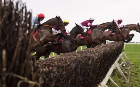Navan’s Prestigious Troytown Chase Card Confirmed After Successful Morning Inspection