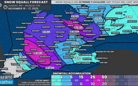 Major Snow Squalls Set to Hit London Barrie and Northern GTA This Sunday Expect 25 to 50cm of Snow