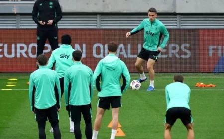 Unveiling Heimir Hallgrimsson’s Unique Tribute to Seamus Coleman Featuring Vacuums and Batteries