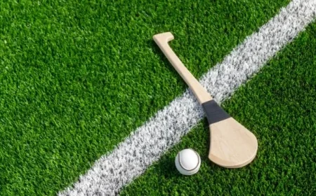 Munster Club Hurling Semi Final Venue Officially Relocated