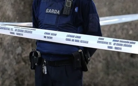 Tragic Death in Cork: 38-Year-Old Man Fatally Stabbed in Chest at Home