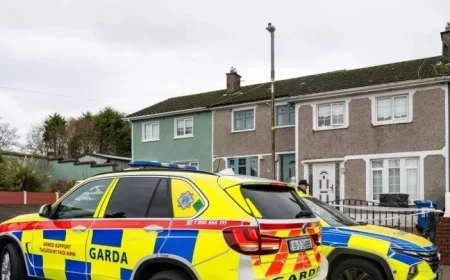 Breaking News: Arrest Made Following Fatal Stabbing in Hollyhill