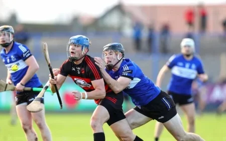 Sarsfields Fall Short to Ballygunner in Munster Club SHC Matchup