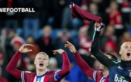 Haaland Celebrates International Victory with Burger Feast for Teammates