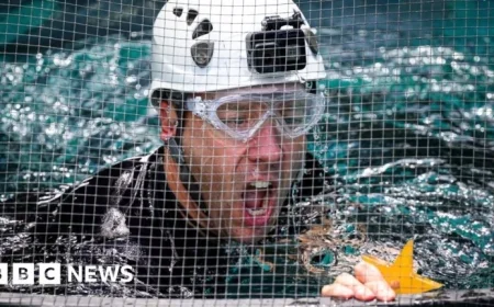 I’m A Celebrity Updates Bushtucker Trial Rules in Exciting Twist