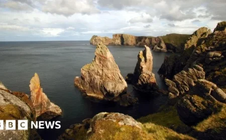 Ongoing Search Efforts Intensify for Missing UK Naval Crew Member