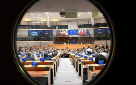 EU Parliament Urged to Assert Veto Power for Stronger Influence