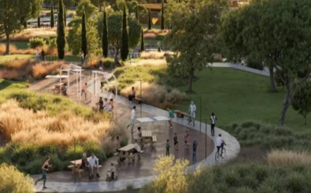 Roma Stadium Project Moves Forward as State Council Rejects Committees’ Appeal Against Tree Removal