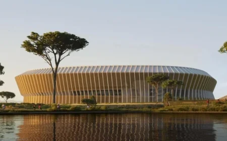 Discover the Stadium Beyond the Forest