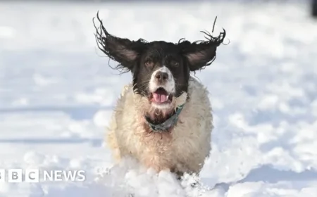 NI Weather Alert: Brace for Potential Disruption with Yellow Snow and Ice Warning