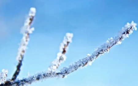 Enhanced alerts issued amid ongoing cold snap conditions