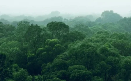 I’m A Celebrity 2025: Eddie Kadi Favored for First Elimination in Latest Betting Odds