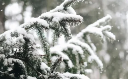 Exploring Jack Osbourne’s Tumultuous Journey: From Wild Nights with Ozzy to Heartfelt Connections