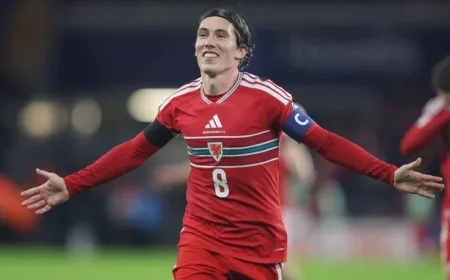 Wales Victory Sends Ireland to Pot 3 for World Cup Playoffs