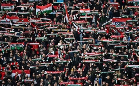 Hungarian Media Reacts to World Cup Qualification Exit: How Ireland Snatched Victory from Our Grasp