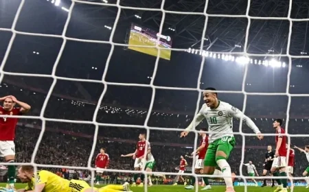 Over a Million Tune In to RTÉ for Thrilling Climax Against Hungary