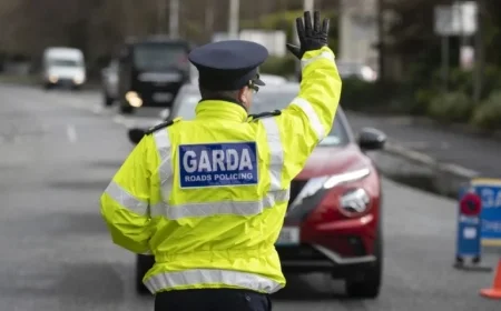 Boost Road Safety: Advocates Push for Increased Garda Checkpoints to Reduce Fatalities