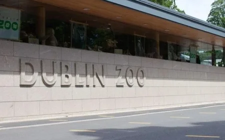 Activist Urges Transformation of Dublin Zoo into a Wildlife Sanctuary