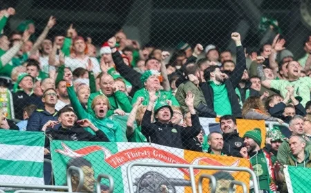 Ireland Fans: Discover Your Ticket Allotment for the World Cup Play-off Semi-final