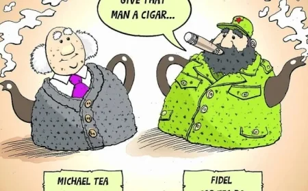 New Áras an Uachtaráin Leader Appeals to Left-Leaning Voters with Poetic Charm