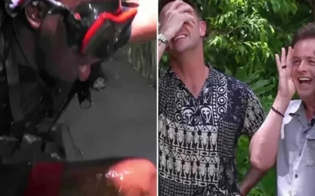 I’m A Celeb Fans Criticize ‘Hopeless’ Star After Bushtucker Trial Fiasco