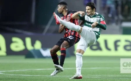 Brazil Palmeiras Draws at Home Increasing the Gap to Title for Coach Abel