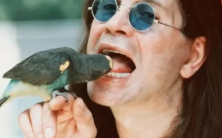 Jack Osbourne Astonishes I’m A Celebrity Campmates with Truth Behind Ozzy Osbourne’s Infamous Dove Incident