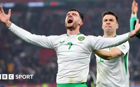 Potential Opponents for Republic of Ireland in World Cup Play-Off Revealed