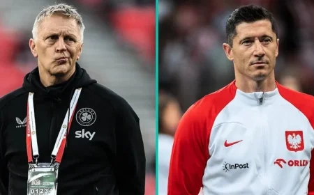 Everything You Need to Know About Ireland’s Challenging Potential Opponents in the World Cup Play-Offs