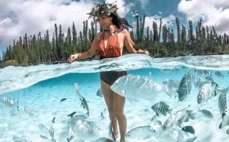 New Caledonia Tourism Unveils Innovative B2B Website for Travel Industry Professionals