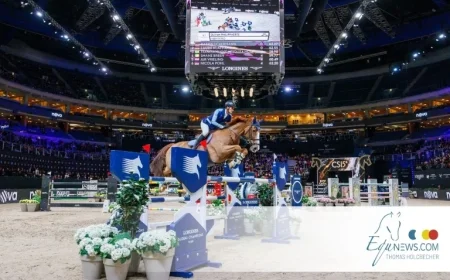 Discover Prague’s Thrilling Showjumping Finale Your Essential Guide to GCL and LGCT Playoffs