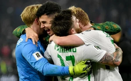 Ireland Climbs Three Spots in FIFA Rankings Following Victories Over Portugal and Hungary