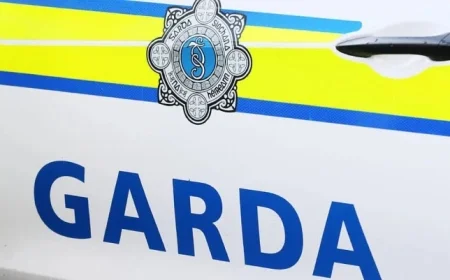 Gardaí Investigate Light Aircraft Crash Site in Waterford