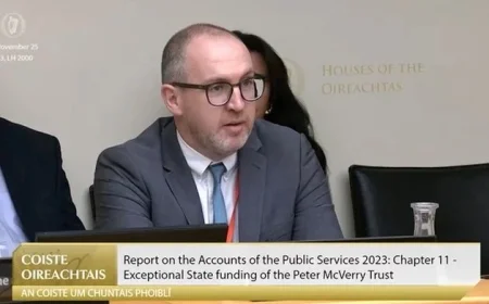 McVerry Trust Invests €300,000 in Period Property with New Driveway and Peacock Enclosure