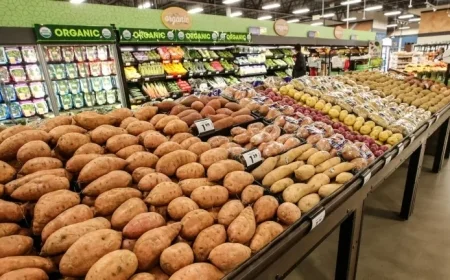 Discover Thanksgiving Day Shopping: Marshfield Grocery Stores Open for Last-Minute Essentials